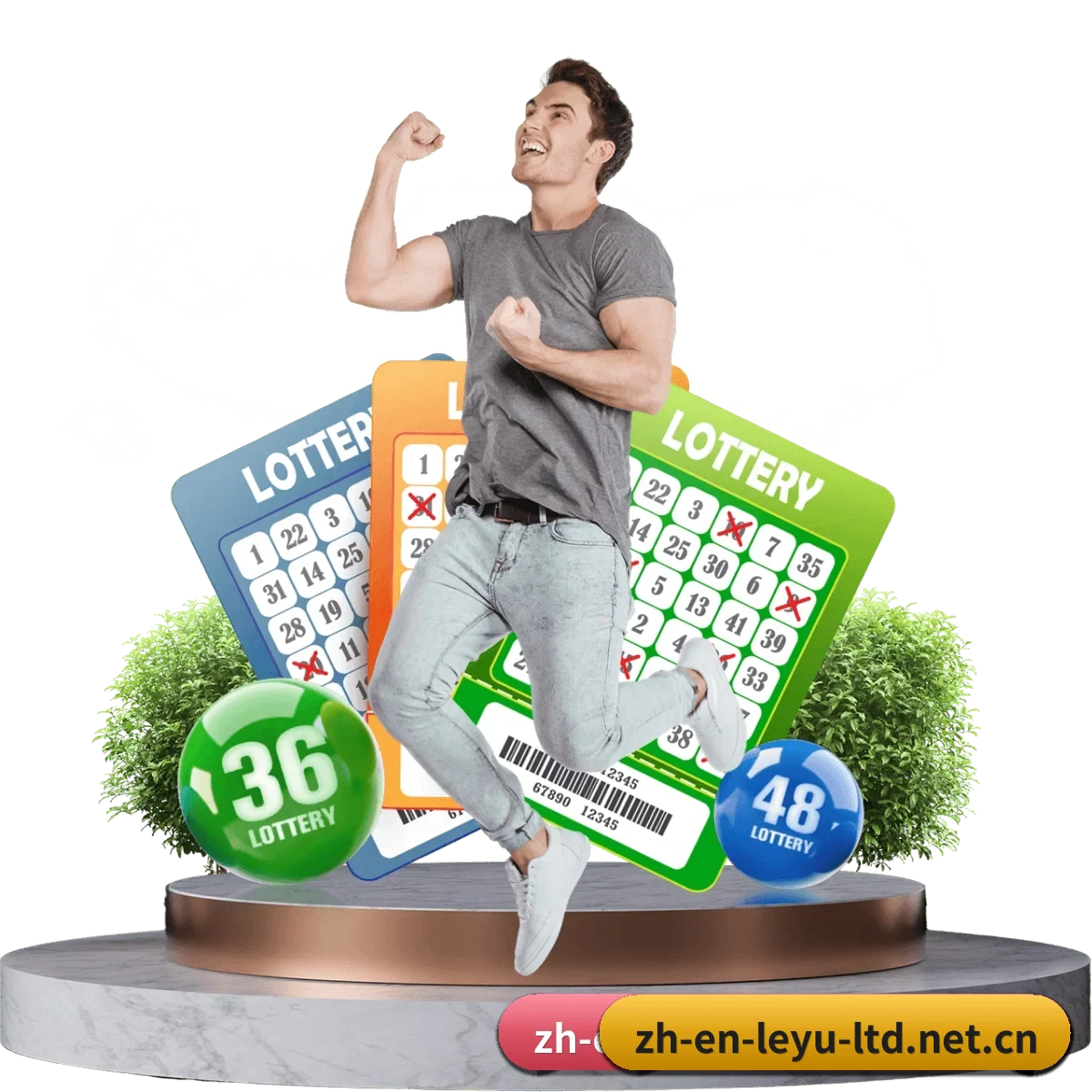 乐鱼体育 APP 界面